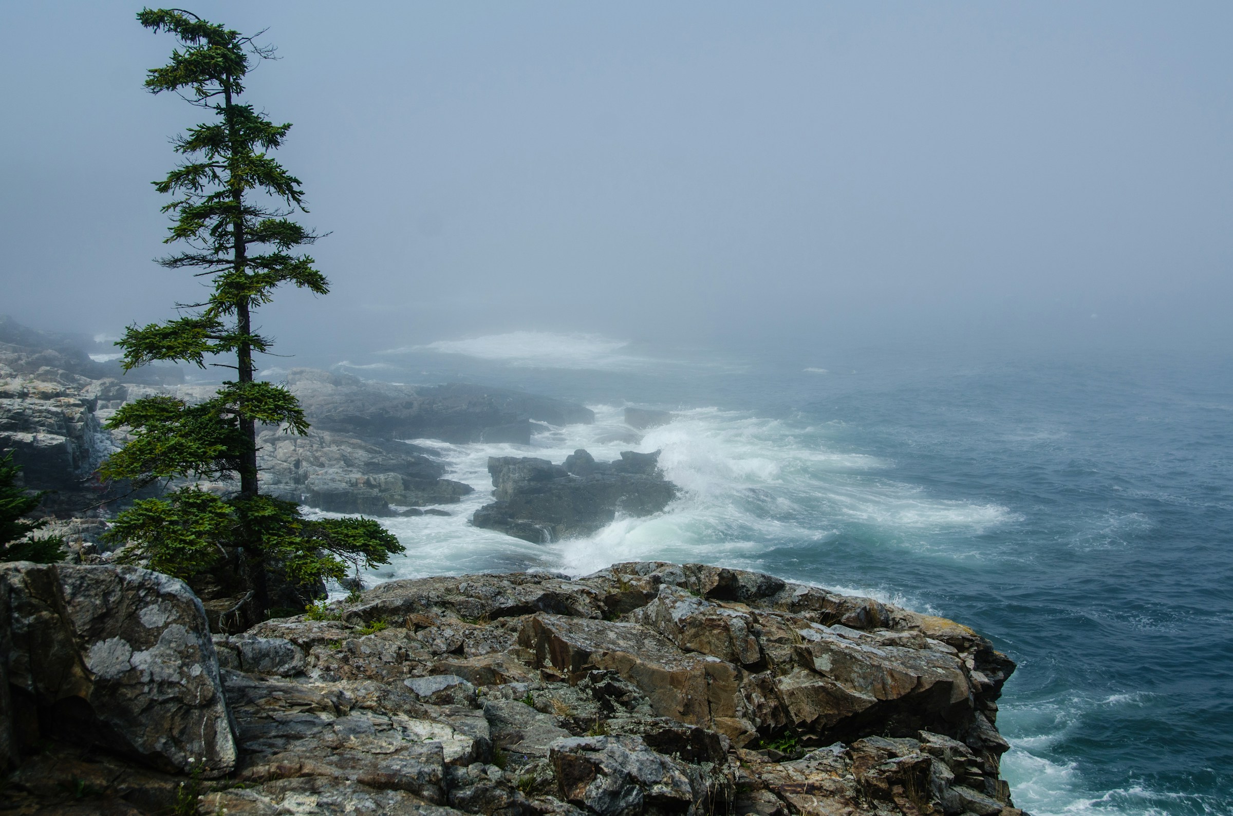Low Clouds Over Acadia