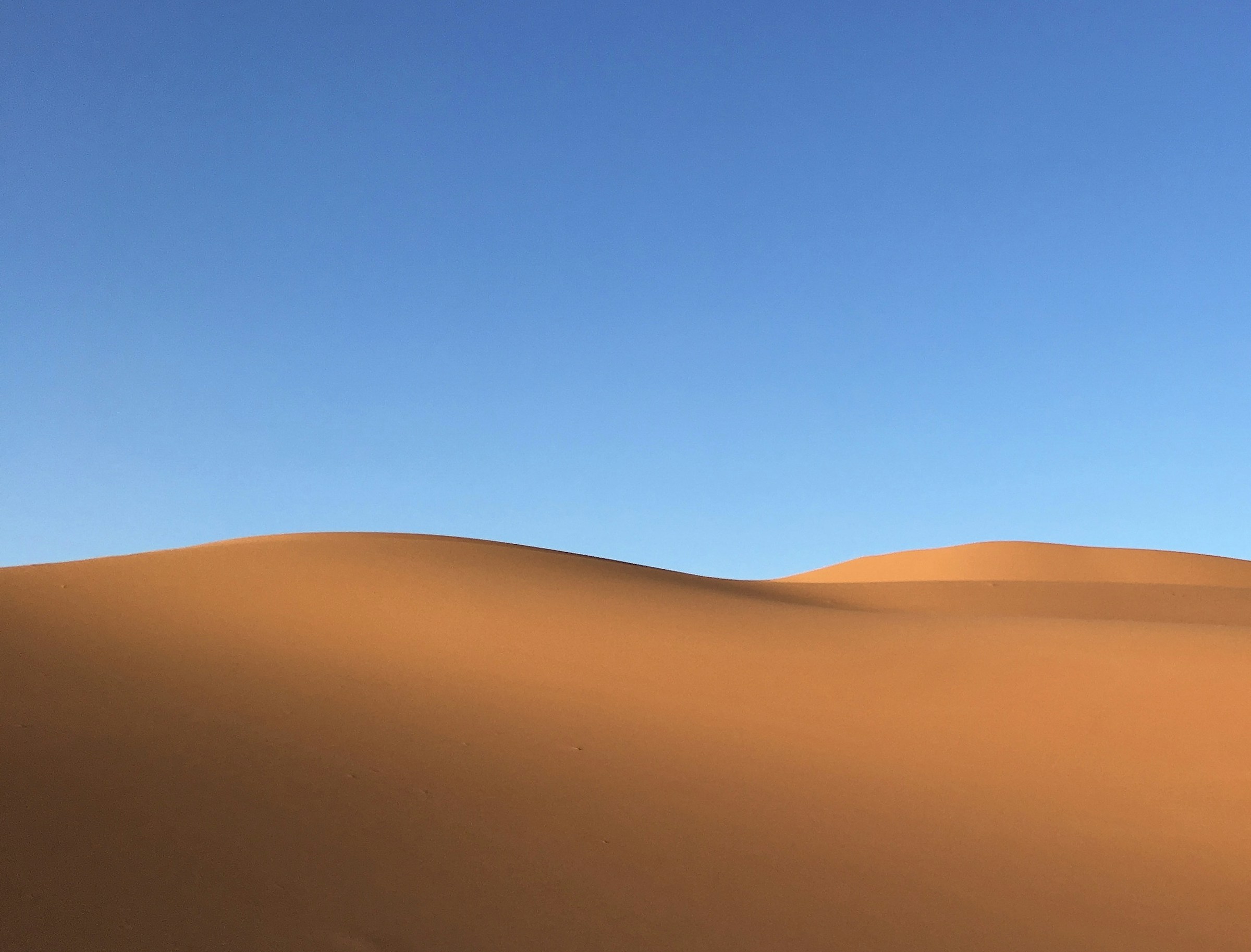 Dunes Stretching Toward a Clear Sky