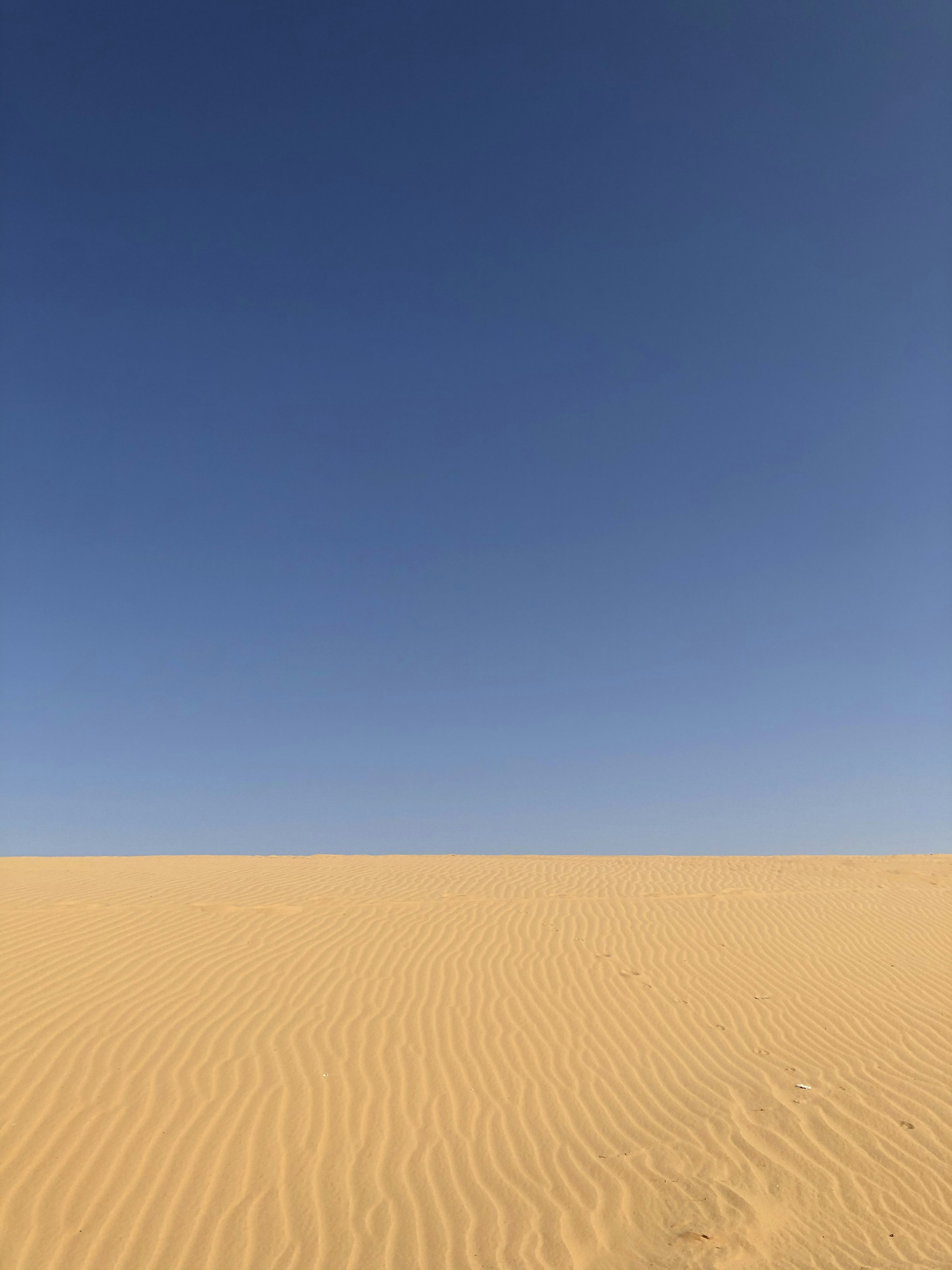 A Horizon Written by the Wind